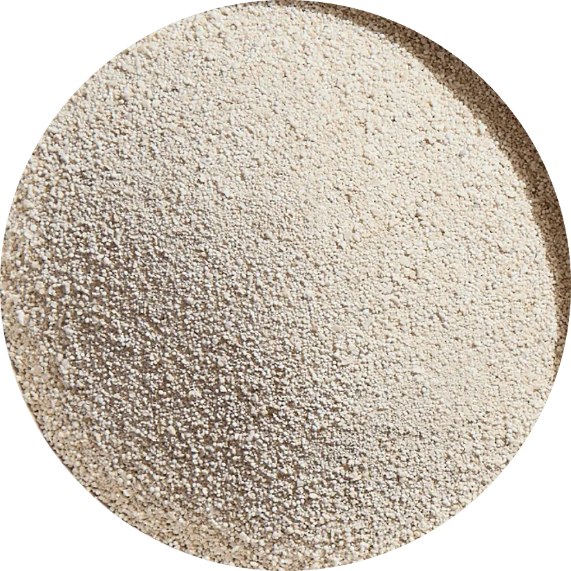SandyCal™