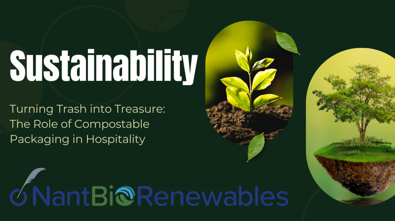 sustainability - turning trash into treasure